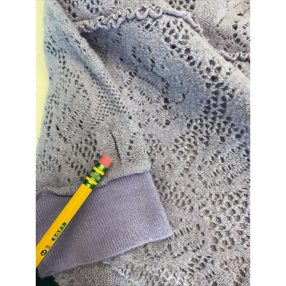 Free People Glacier Not Cold Sheer Lace top LG open knit‎ long sleeve oversized - Picture 7 of 12